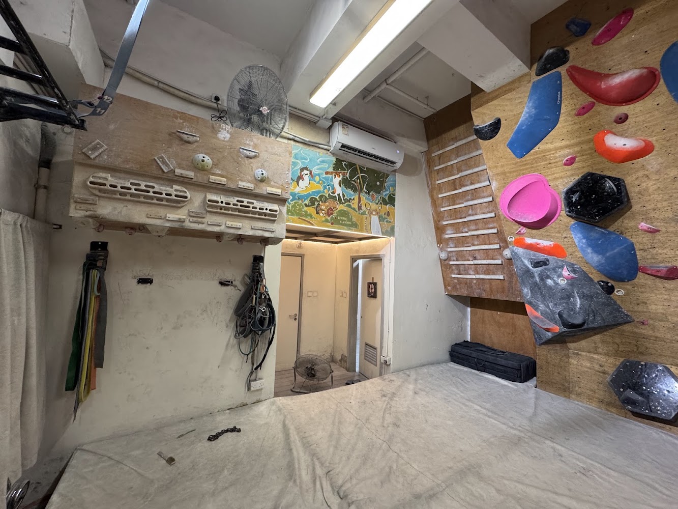 Campus Climbing photo 5