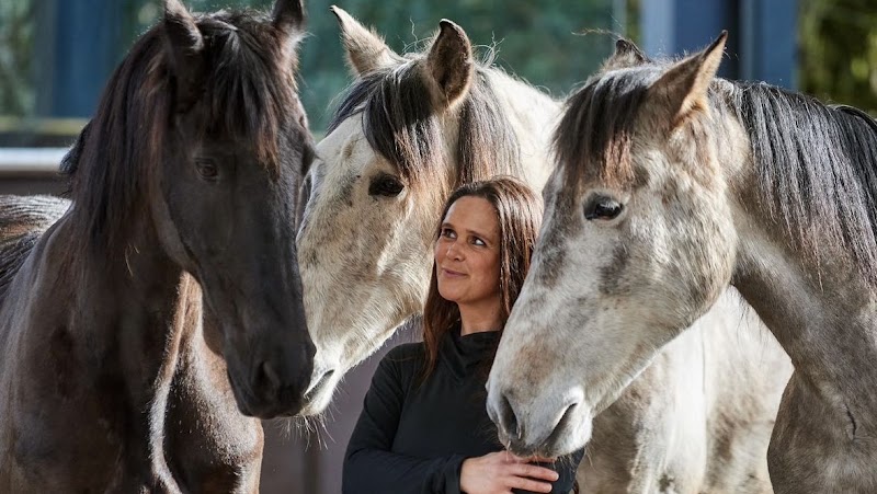 Cannock Chase Trekking Centre