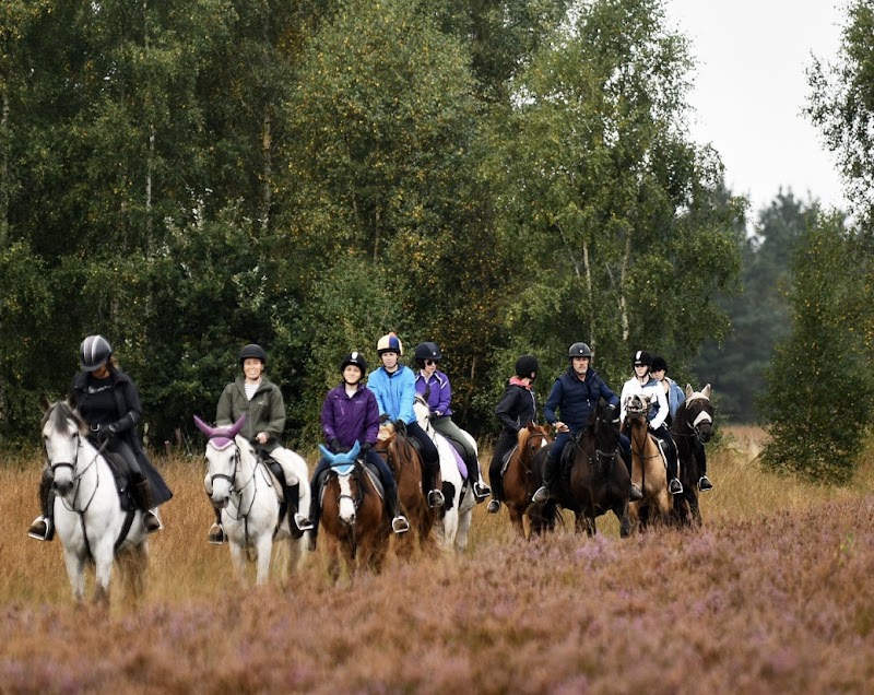 Cannock Chase Trekking Centre photo 2