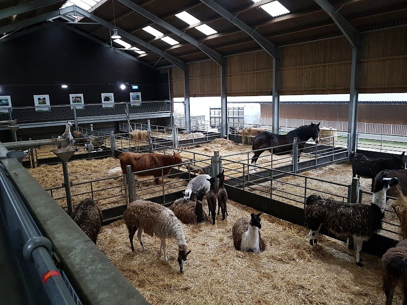 Cannon Hall Farm photo 2