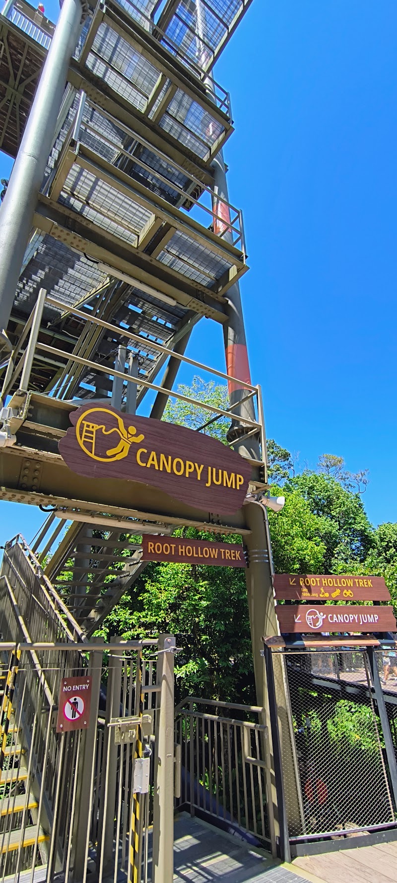 Canopy Jump