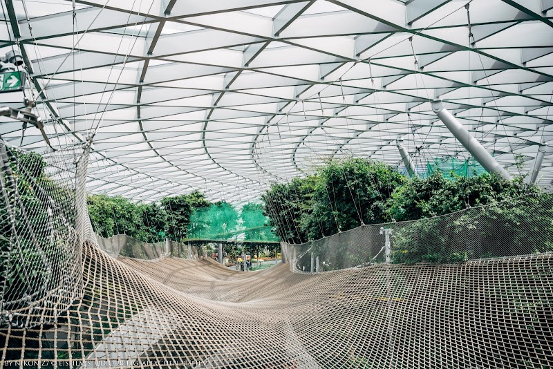 Canopy Park - Jewel Changi