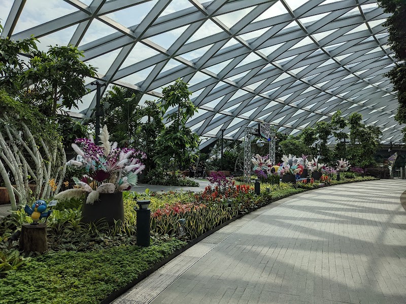 Canopy Park - Jewel Changi photo 2