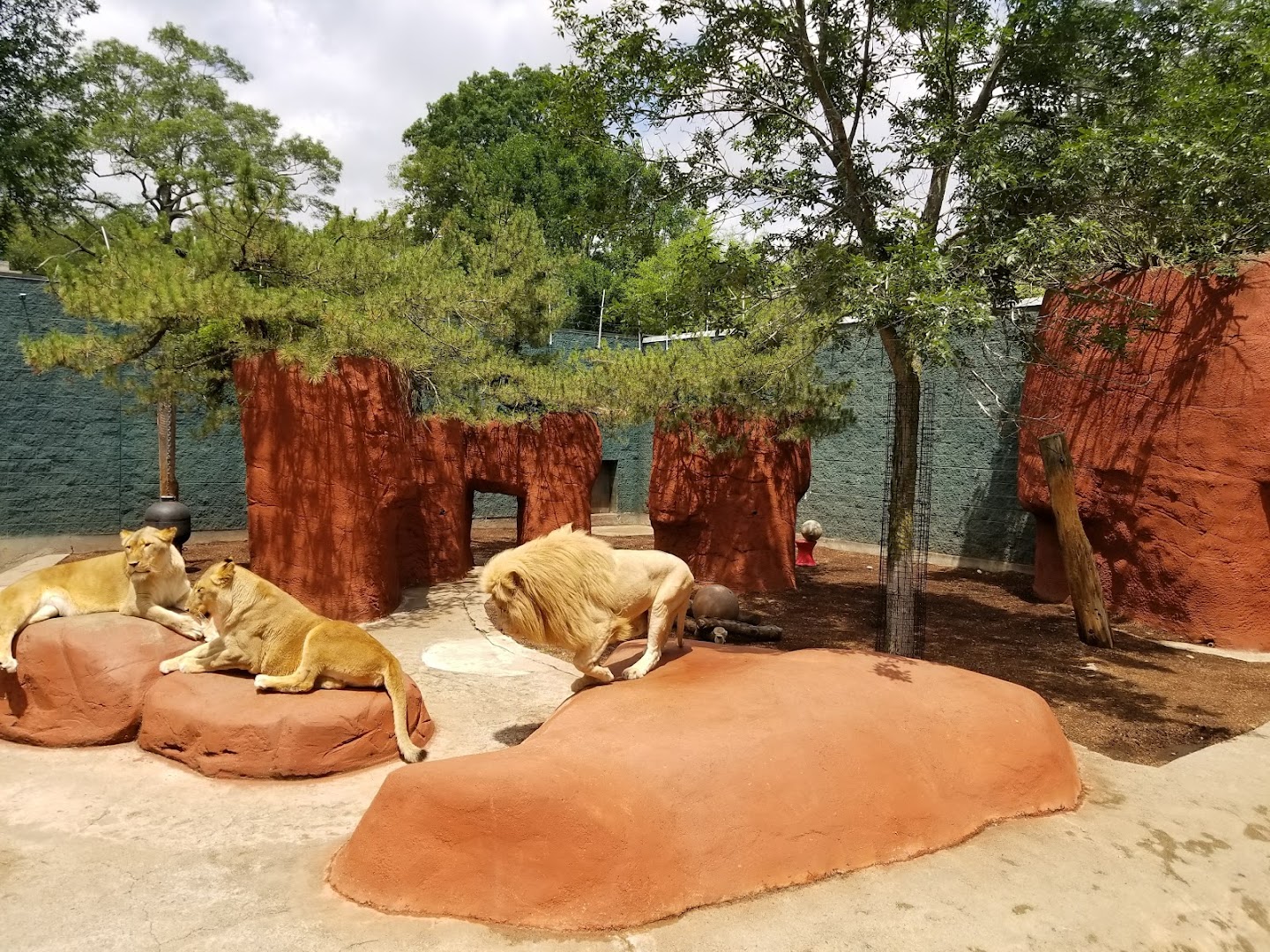 Photo of Capron Park Zoo in Massachusetts