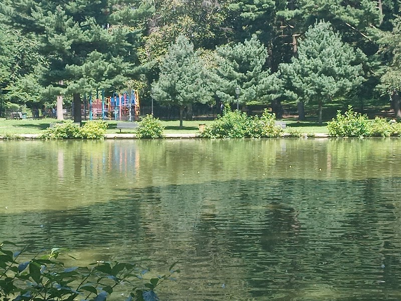 Captain Tilly Park Playground photo 2