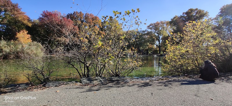Captain Tilly Park Playground photo 3