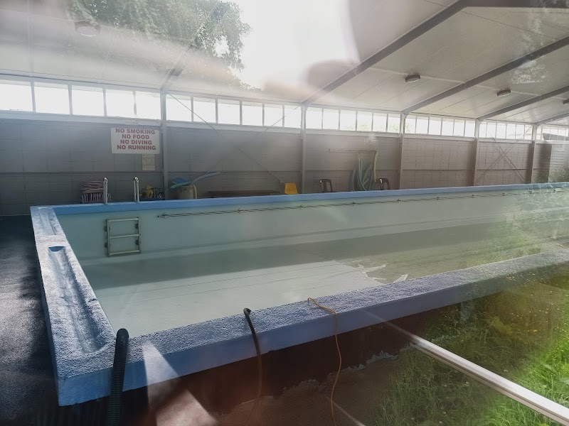 Carisbrook Pool