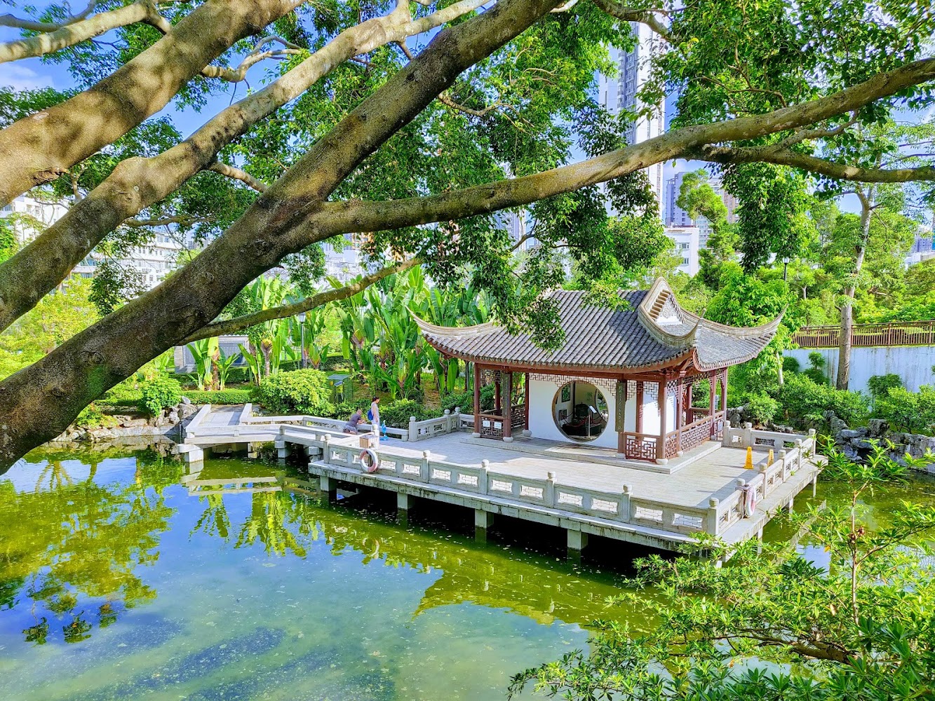 Carpenter Road Park photo 4