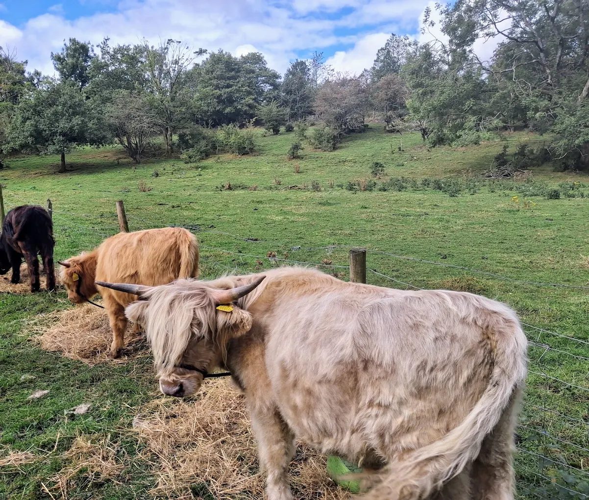 Photo of Carr Lane Little Animal Farm in North West