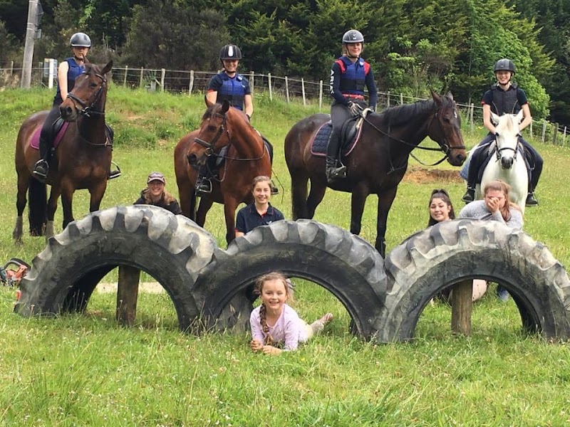 Castle Hill Equine