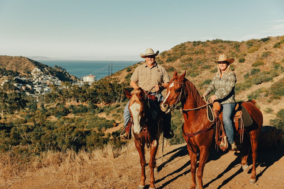 Catalina Island Horseback Adventures