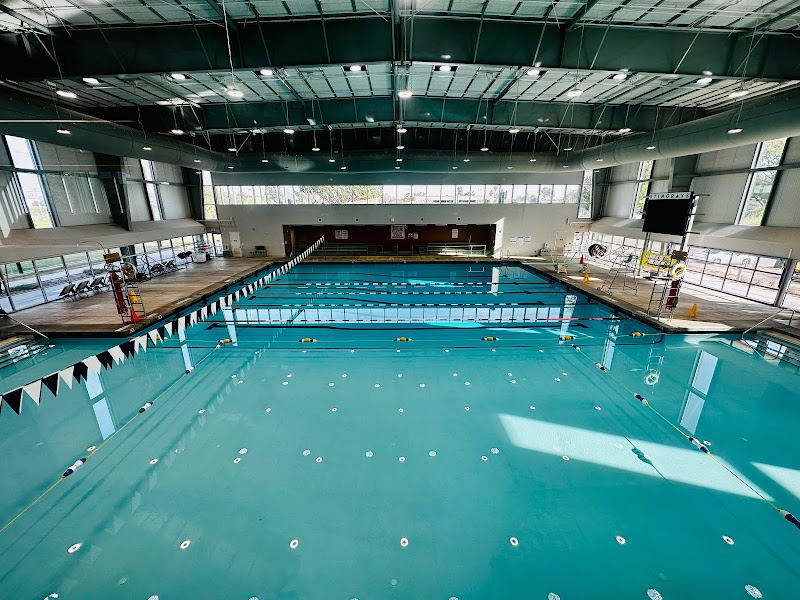 Celes King III Aquatic Center photo 3