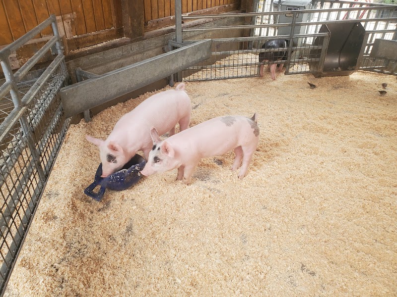 Centennial Farm photo 2