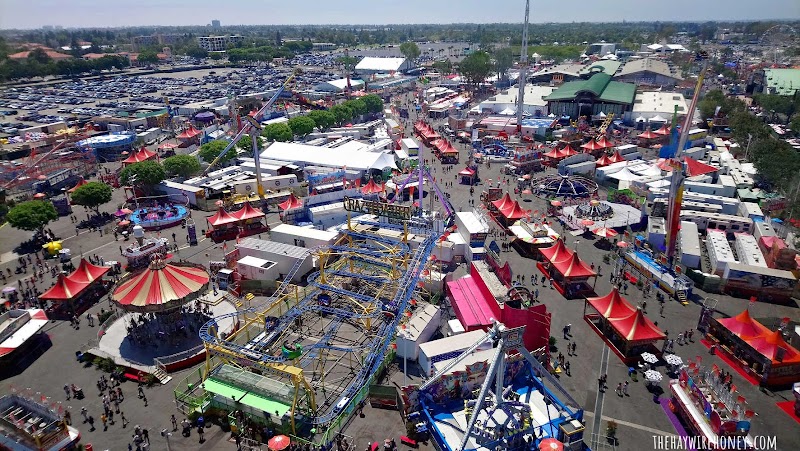 Centennial Farm photo 3