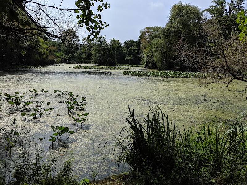 Center for Science Teaching and Learning @ Tanglewood Preserve photo 2