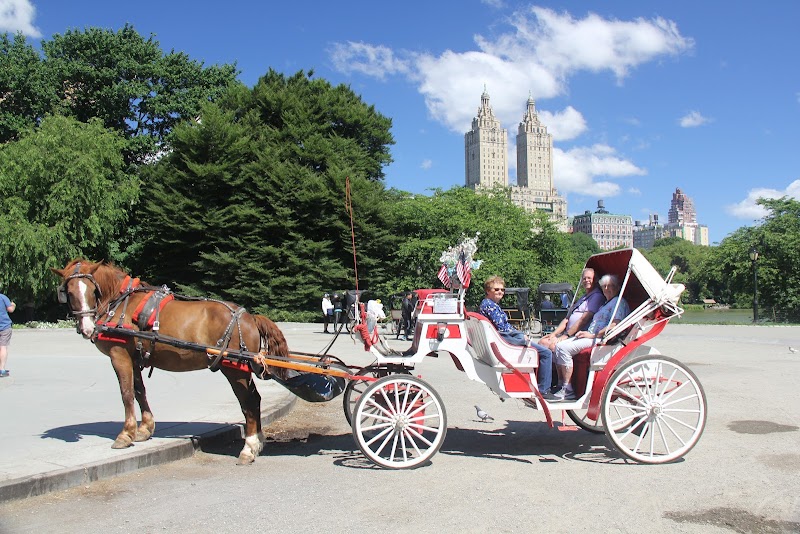 Central Park Carriage Rides - Official Booking Site
