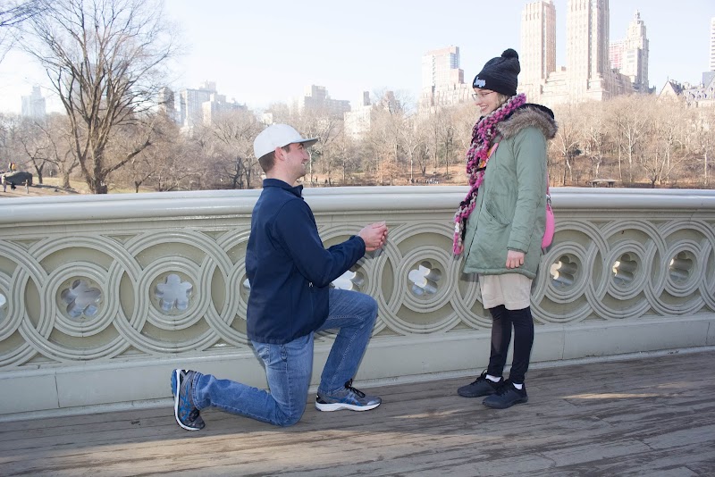 Central Park Carriage Rides - Official Booking Site photo 2