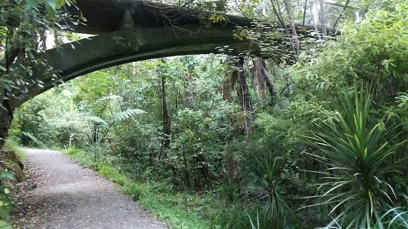 Central Park photo 2