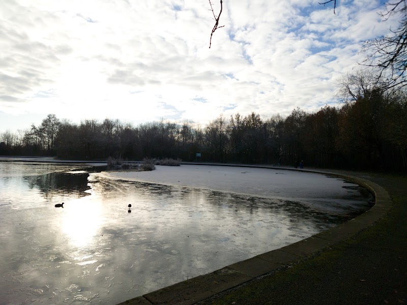 Charlestown Park
