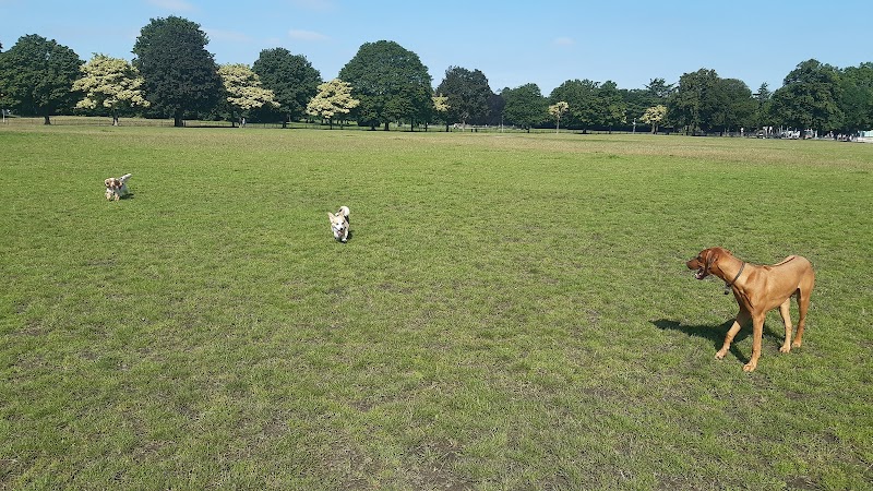 Charlton Park Playground photo 2