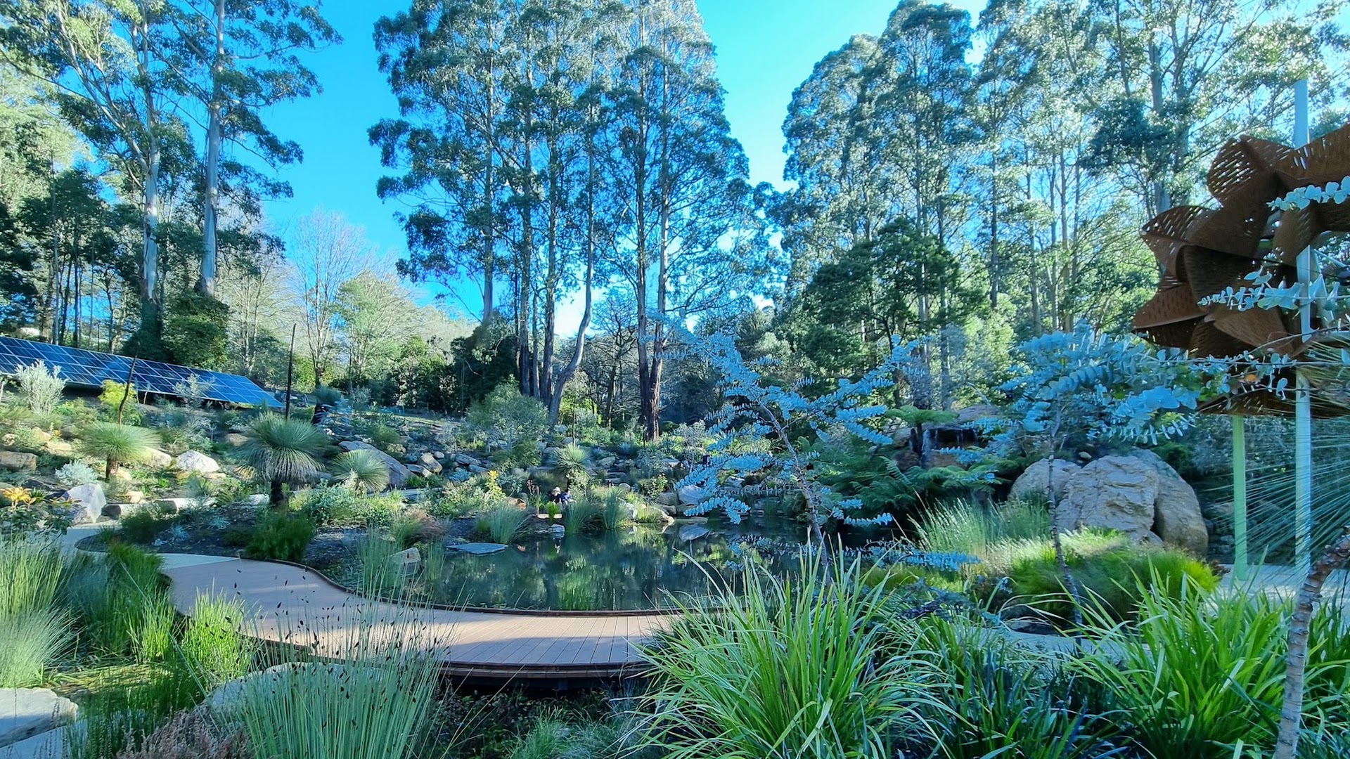 Chelsea Australian Garden at Olinda