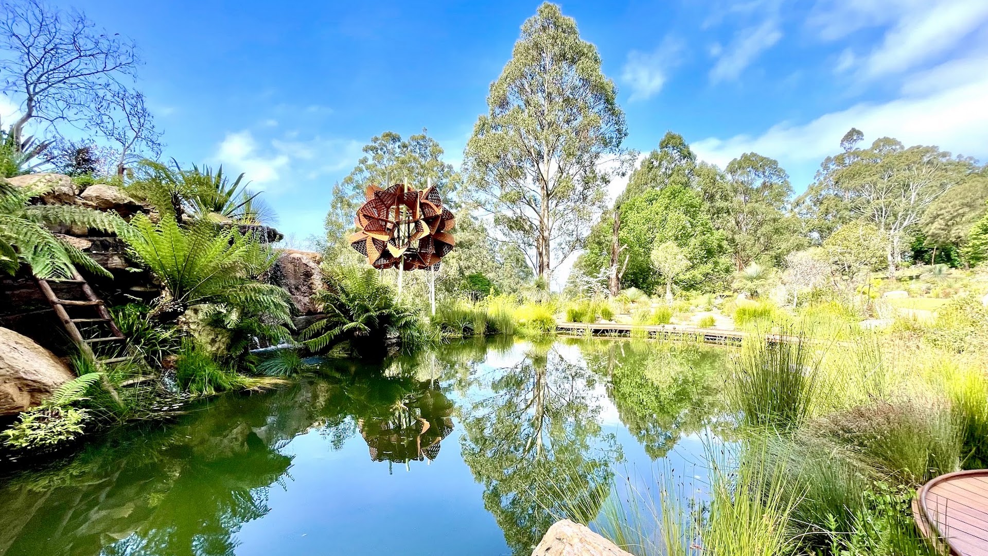 Chelsea Australian Garden at Olinda photo 3