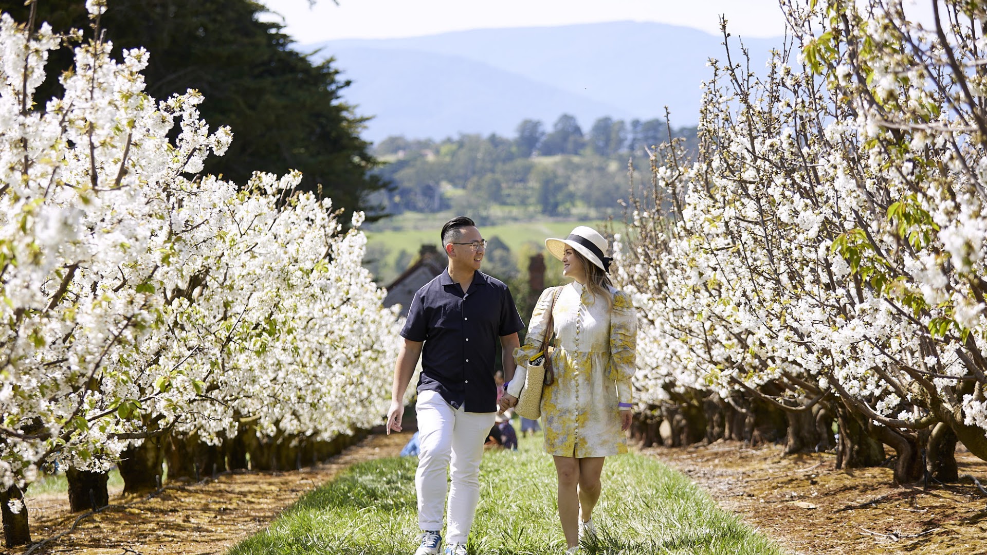CherryHill Orchards - Wandin East