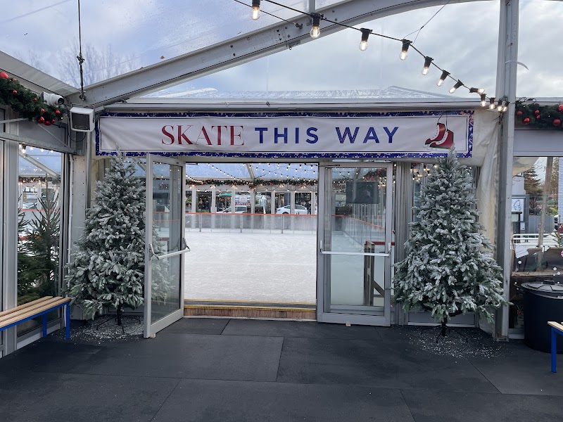 Cheshire oaks ice rink