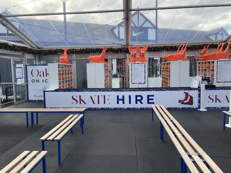 Cheshire oaks ice rink photo 2