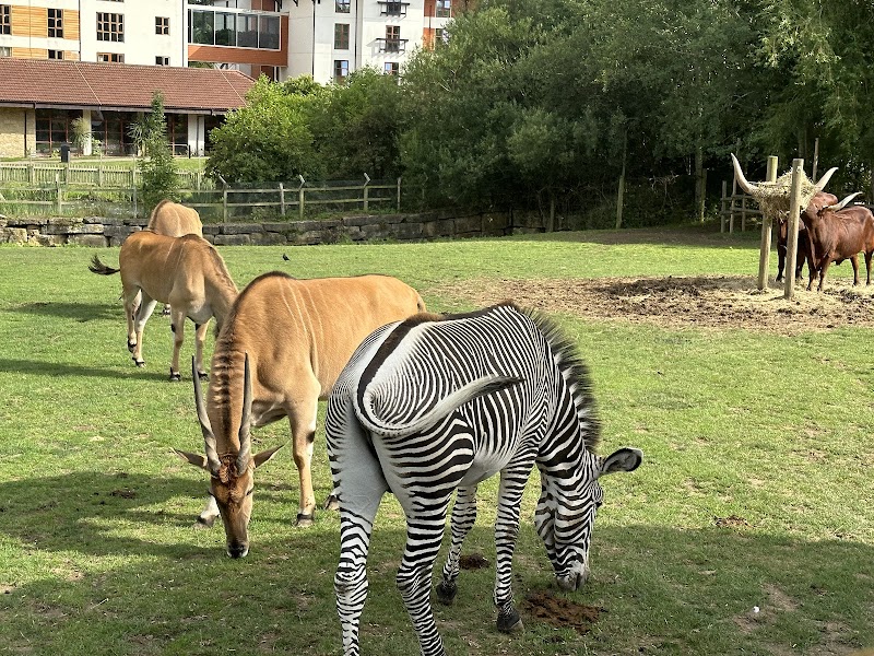 Chessington Zoo photo 2