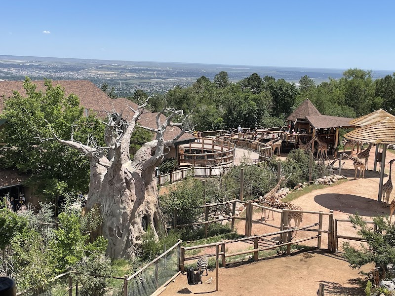 Cheyenne Mountain Zoo photo 2
