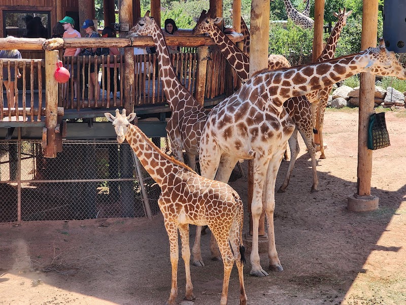Cheyenne Mountain Zoo photo 3
