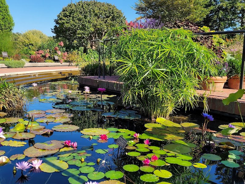 Chicago Botanic Garden photo 2