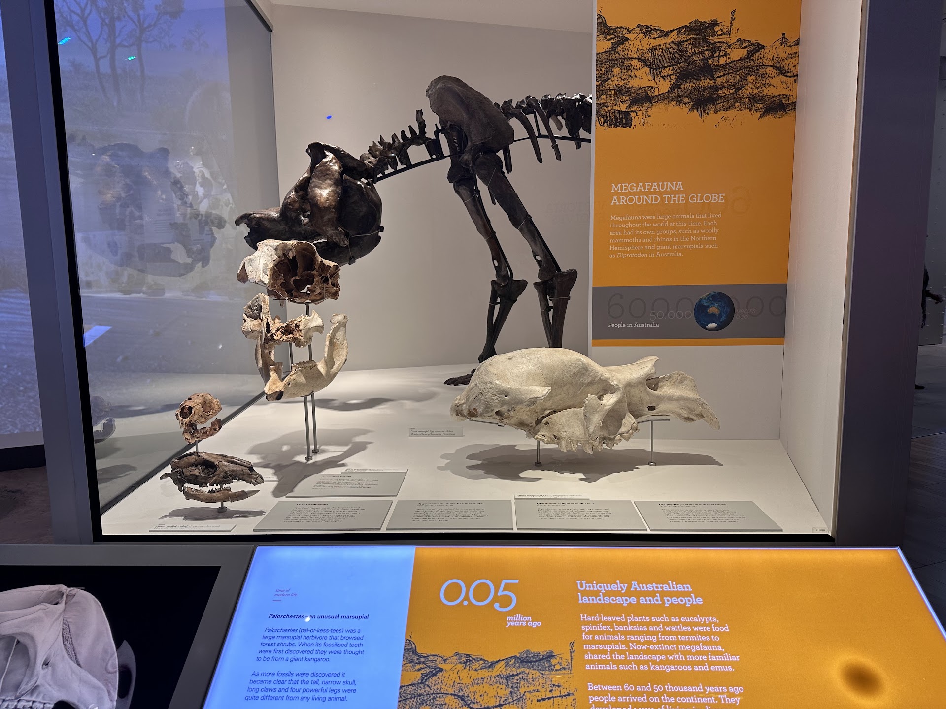 Children's Gallery (Melbourne Museum) photo 2