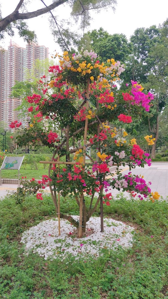 Children's Playground, Tin Shui Wai Park photo 4
