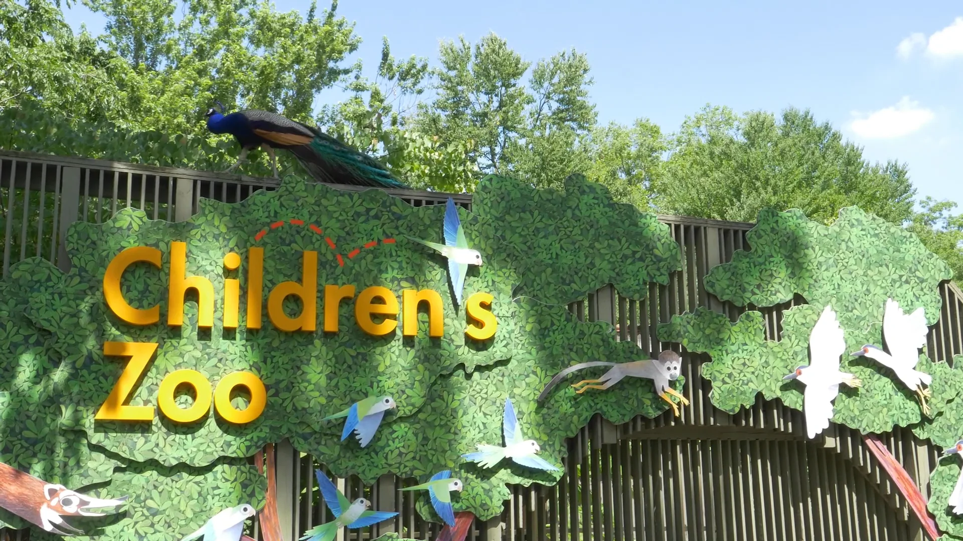Children's Zoo photo 2