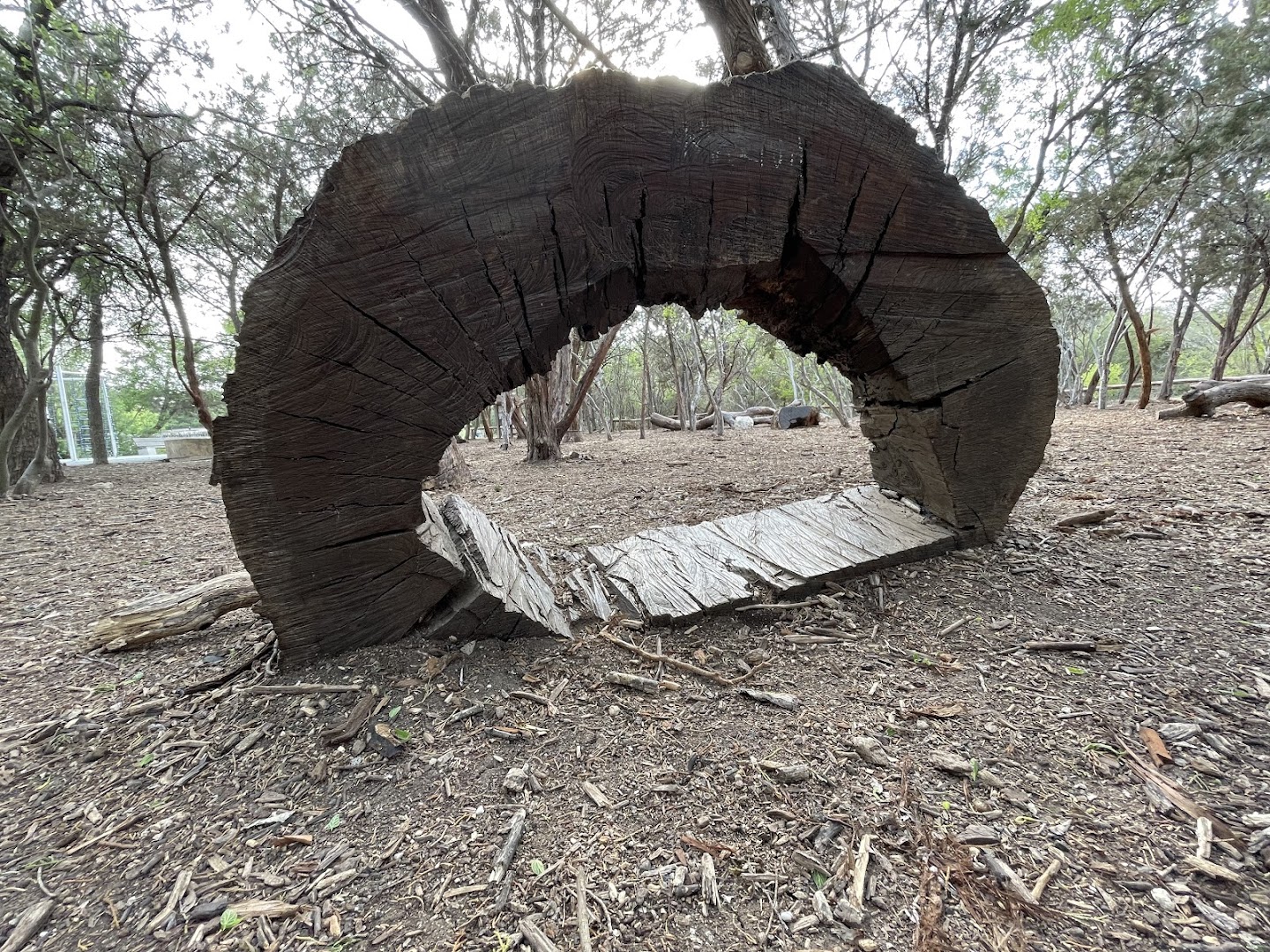 Children's Nature Play Area photo 2