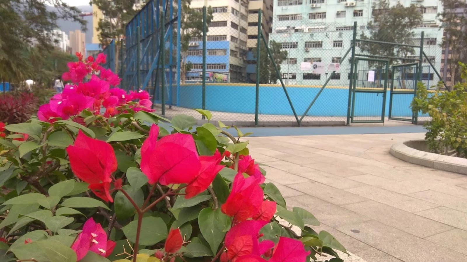 Choi Hung Road Playground photo 3
