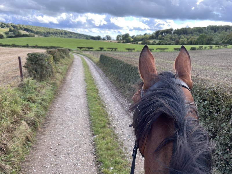 Cholsey Farm Riding photo 2