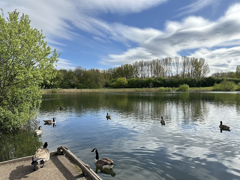 Chorlton Water Park photo 3