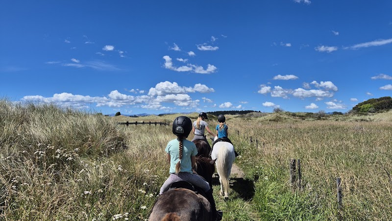Christchurch Icelandic Horse Treks photo 2