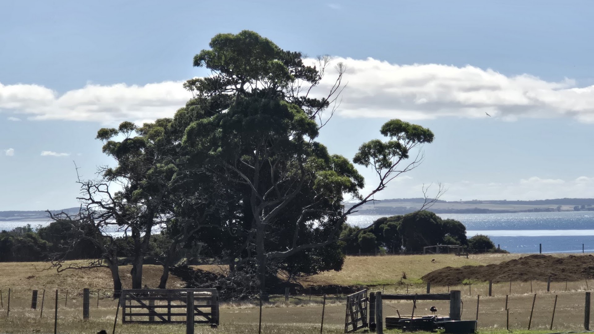 Churchill Island