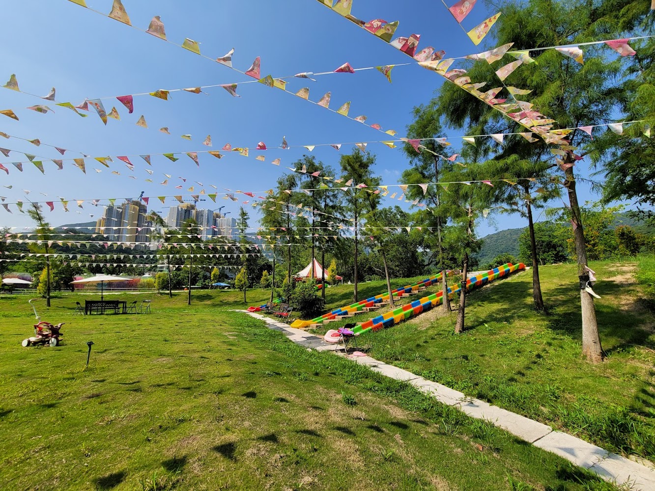 Cinderella Farm photo 4