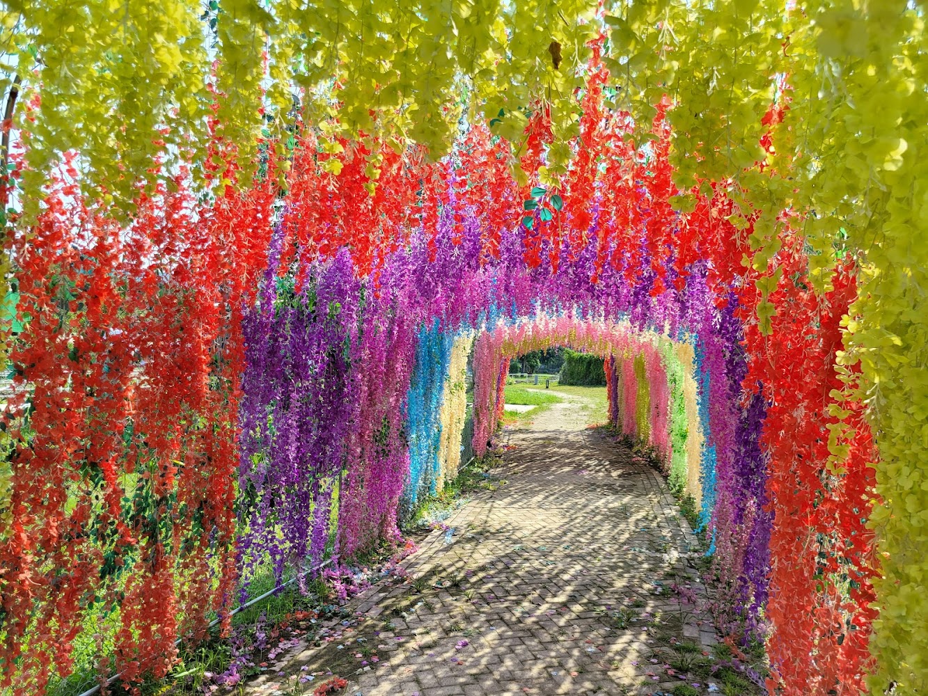 Cinderella Farm photo 5