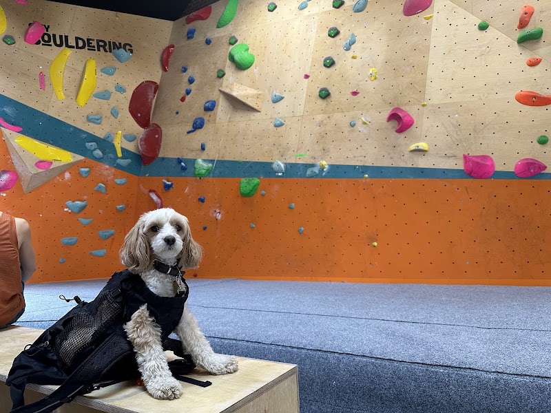 City Bouldering Stratford photo 2