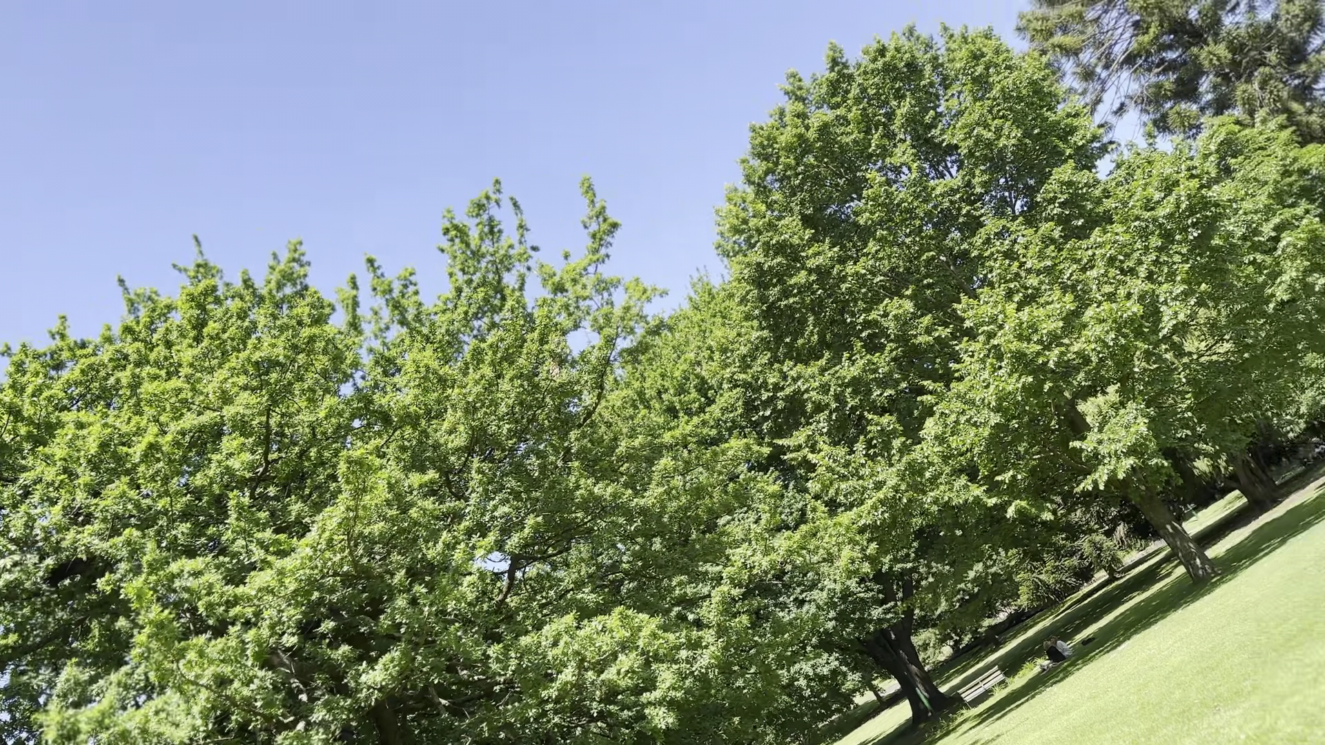 City Park photo 3