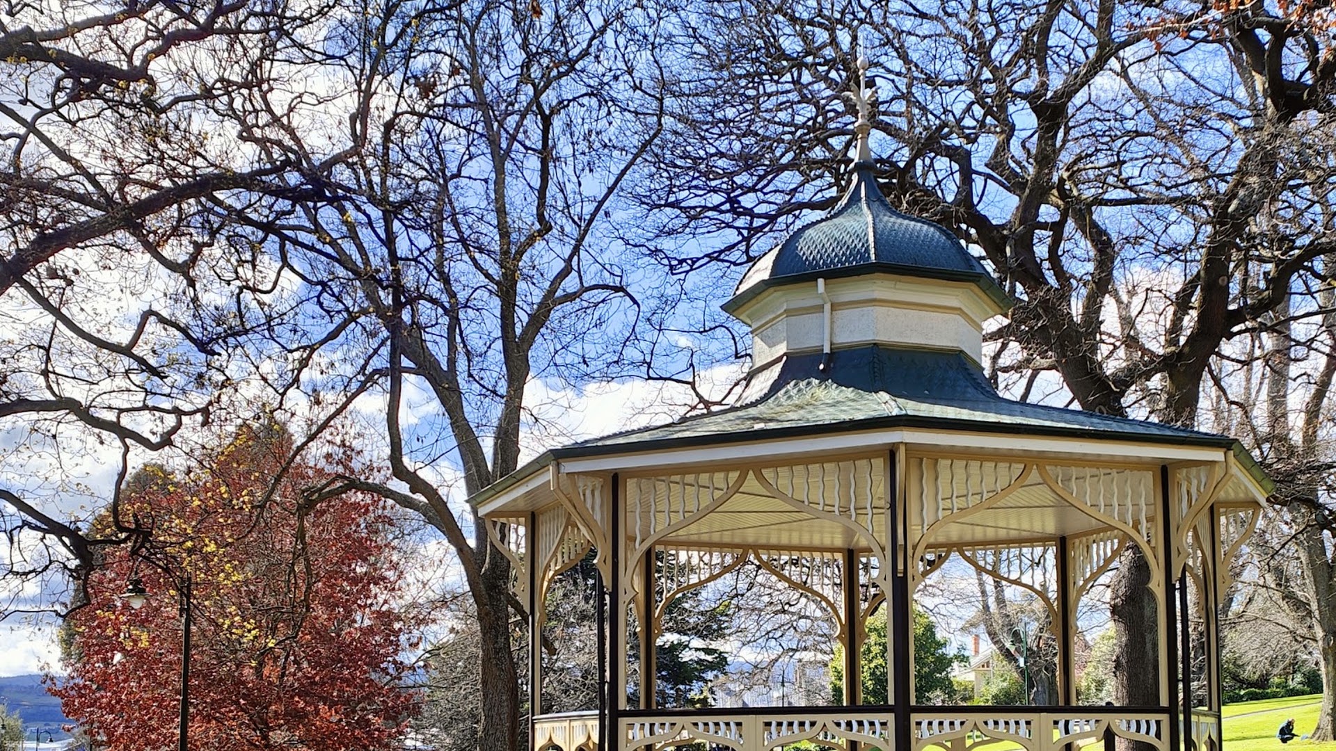 City Park photo 2