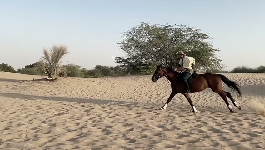 CityOne Equestrian Club photo 3