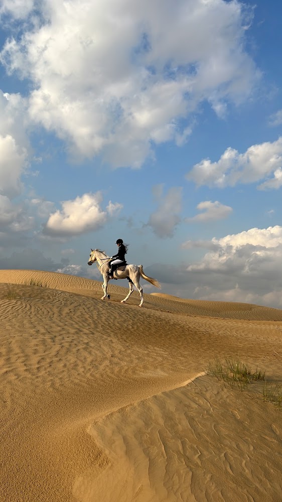 CityOne Equestrian Club photo 4