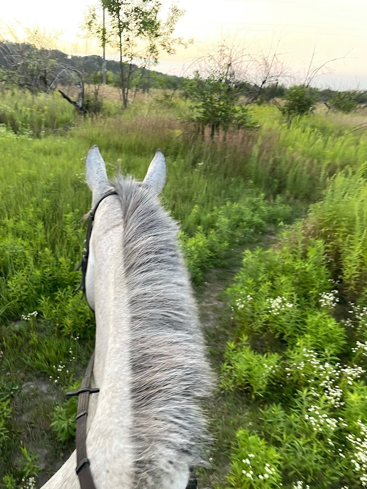 CityOne Equestrian Club photo 5